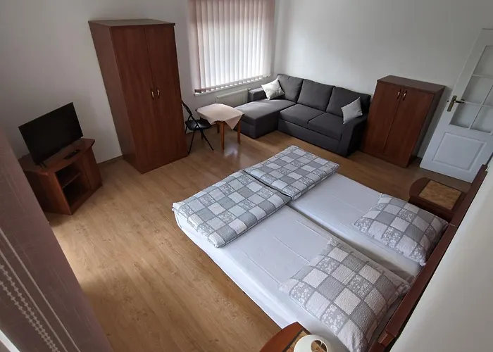 Goscinne - Lesna 8 民宿 *