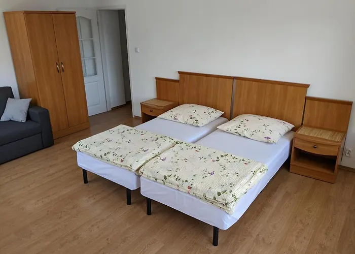 Privat bolig Goscinne - Lesna 8