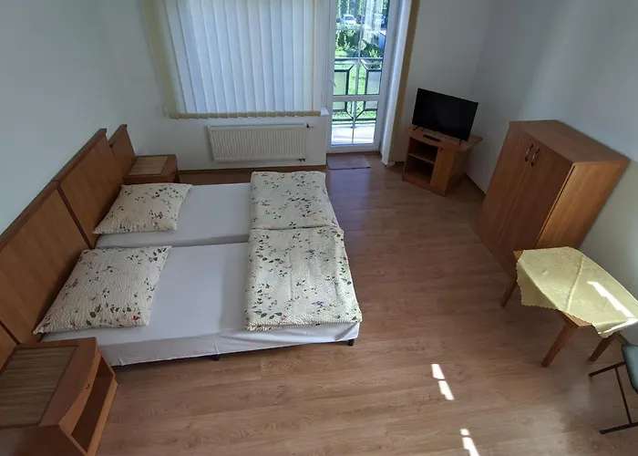 Goscinne - Lesna 8 *