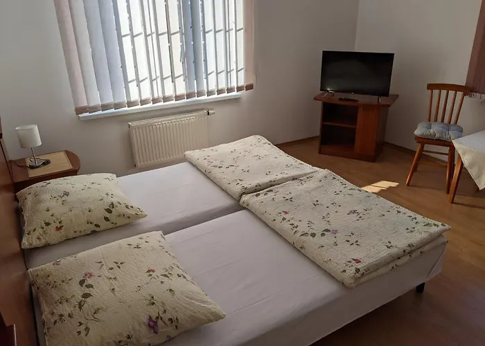 Privat bolig Goscinne - Lesna 8